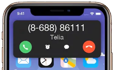 +37068886111