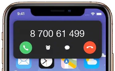  +37070061499 / 870061499 Telefonas